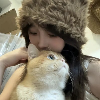 小猫熊历险记